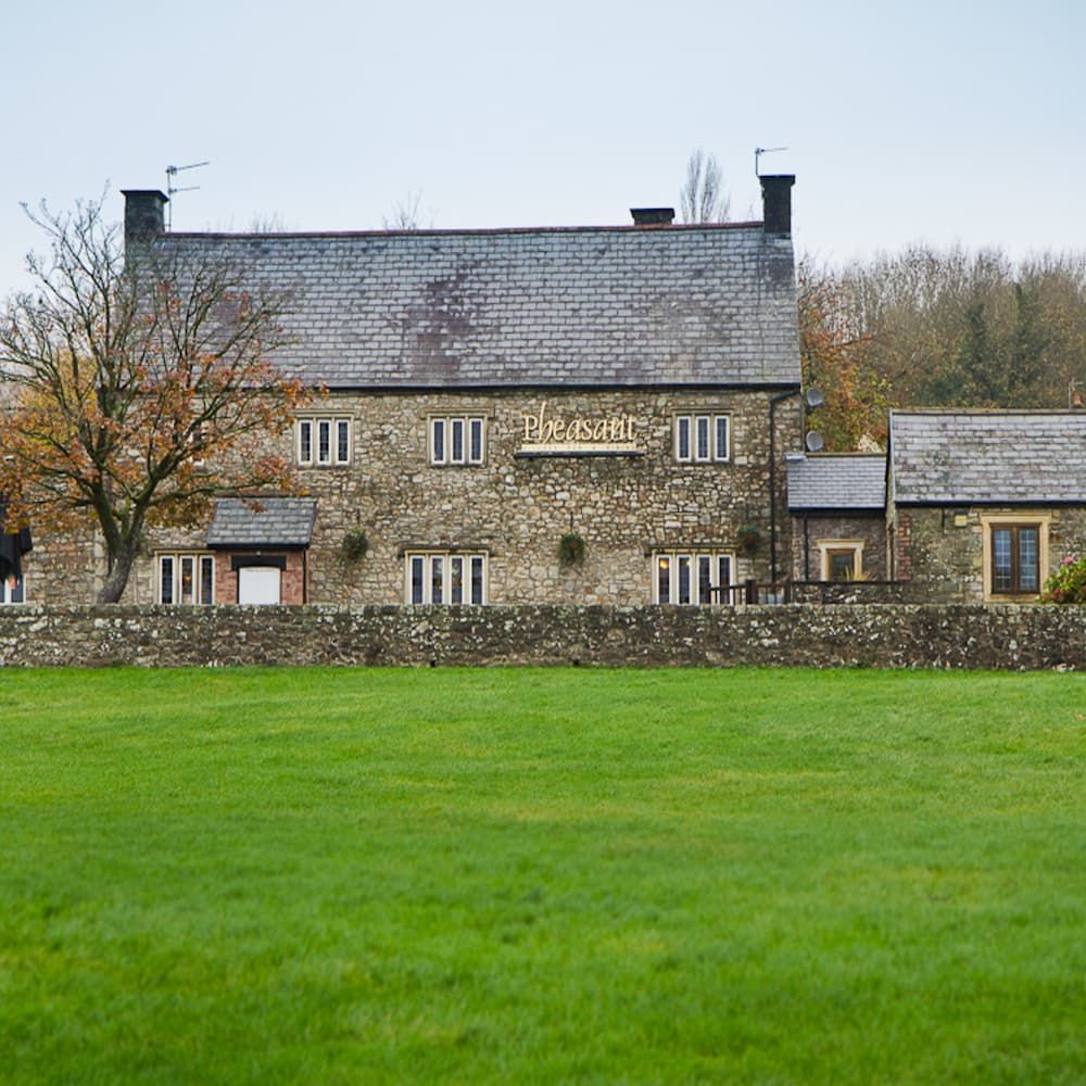 The Pheasant
